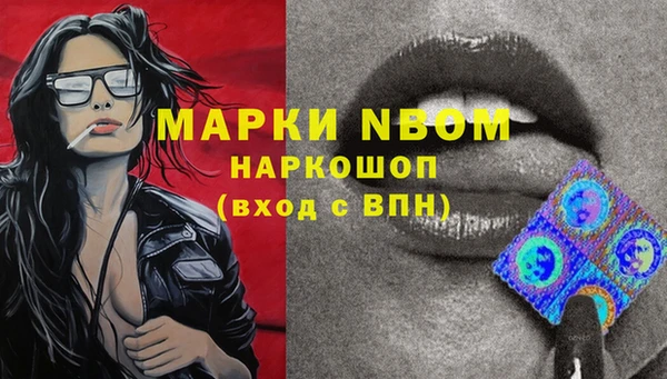 прущие грибы Баксан