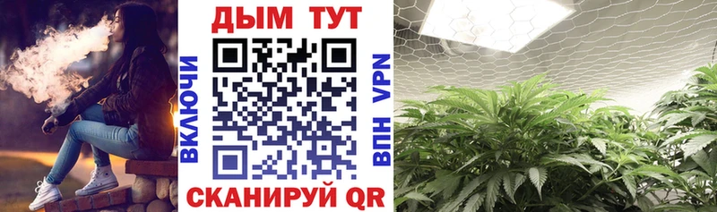 Марихуана OG Kush Кимовск